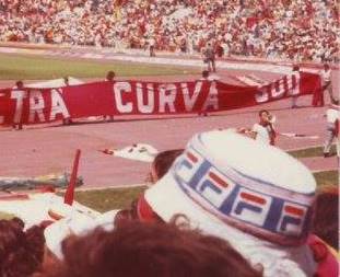 Stadio Olimpico Roma, Curva sud 1983