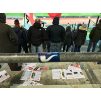 Stadio Euganeo, Padova Calcio